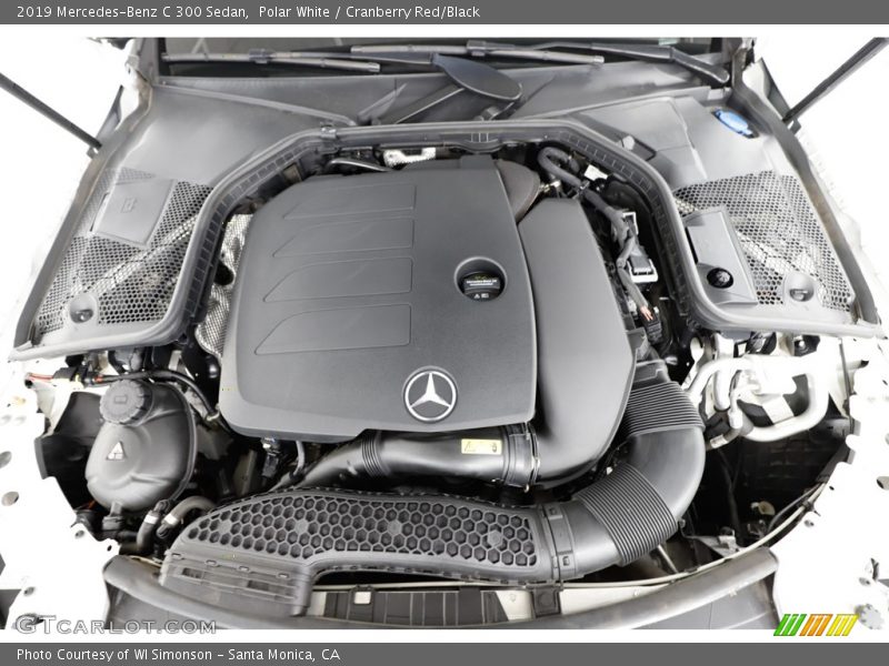 Polar White / Cranberry Red/Black 2019 Mercedes-Benz C 300 Sedan