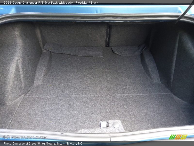Frostbite / Black 2022 Dodge Challenger R/T Scat Pack Widebody