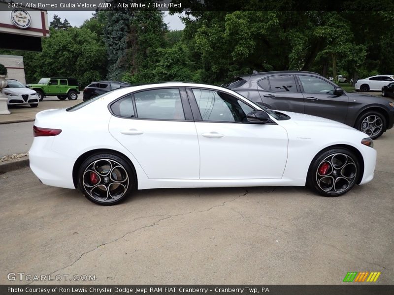 Alfa White / Black/Red 2022 Alfa Romeo Giulia Veloce AWD
