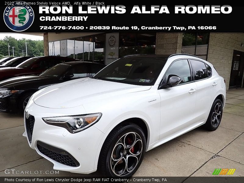 Alfa White / Black 2022 Alfa Romeo Stelvio Veloce AWD