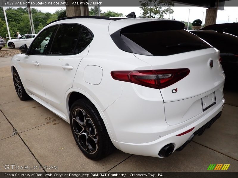 Alfa White / Black 2022 Alfa Romeo Stelvio Veloce AWD