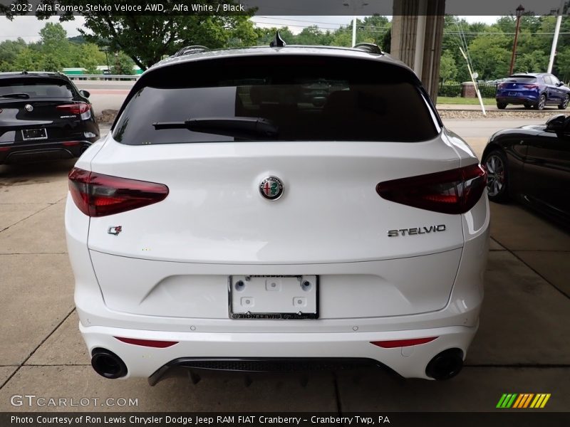 Alfa White / Black 2022 Alfa Romeo Stelvio Veloce AWD