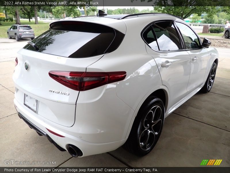 Alfa White / Black 2022 Alfa Romeo Stelvio Veloce AWD