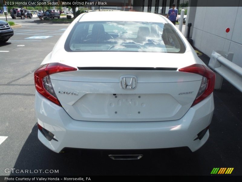 White Orchid Pearl / Black 2019 Honda Civic Sport Sedan