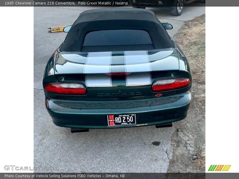 Polo Green Metallic / Neutral 1995 Chevrolet Camaro Z28 Convertible