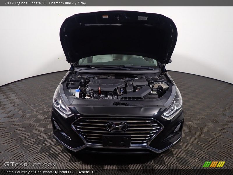 Phantom Black / Gray 2019 Hyundai Sonata SE