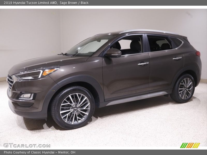 Sage Brown / Black 2019 Hyundai Tucson Limited AWD
