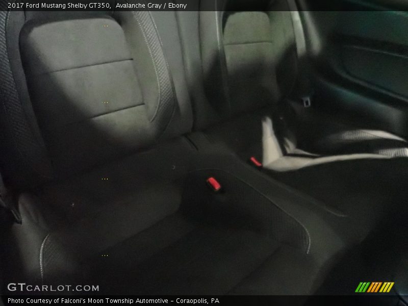 Avalanche Gray / Ebony 2017 Ford Mustang Shelby GT350