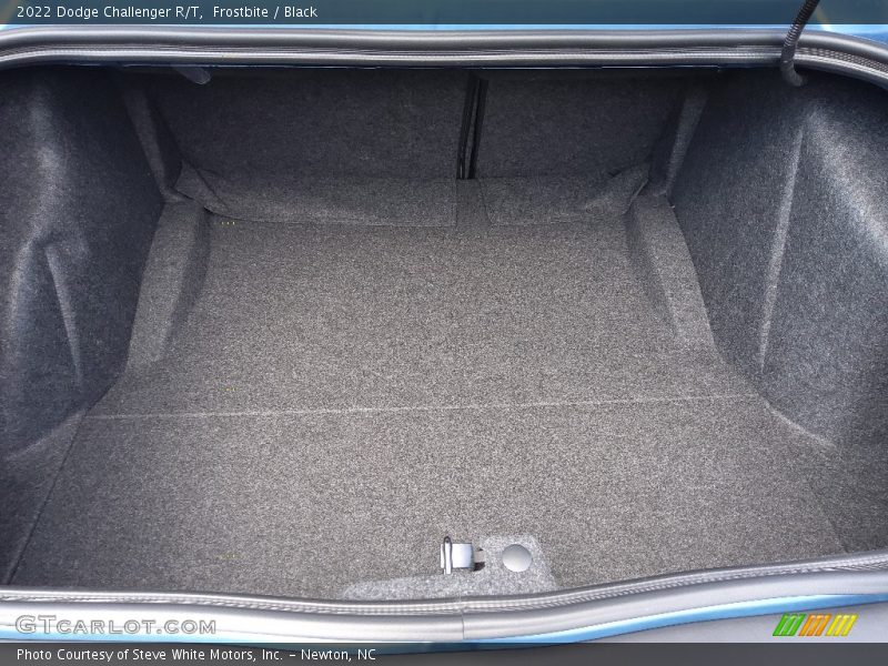 Frostbite / Black 2022 Dodge Challenger R/T