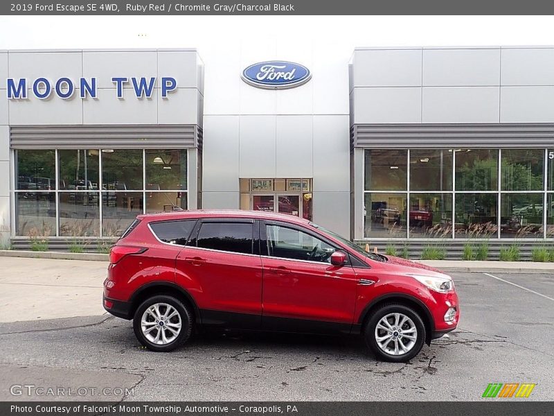 Ruby Red / Chromite Gray/Charcoal Black 2019 Ford Escape SE 4WD