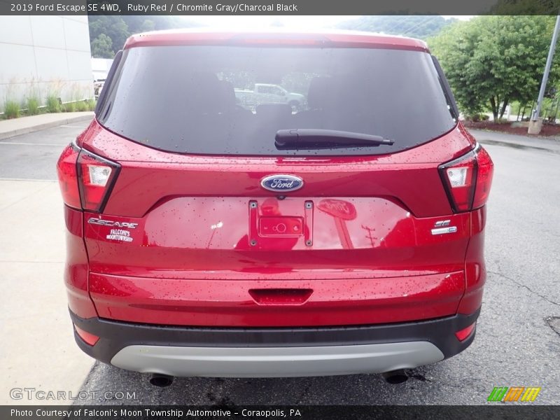 Ruby Red / Chromite Gray/Charcoal Black 2019 Ford Escape SE 4WD