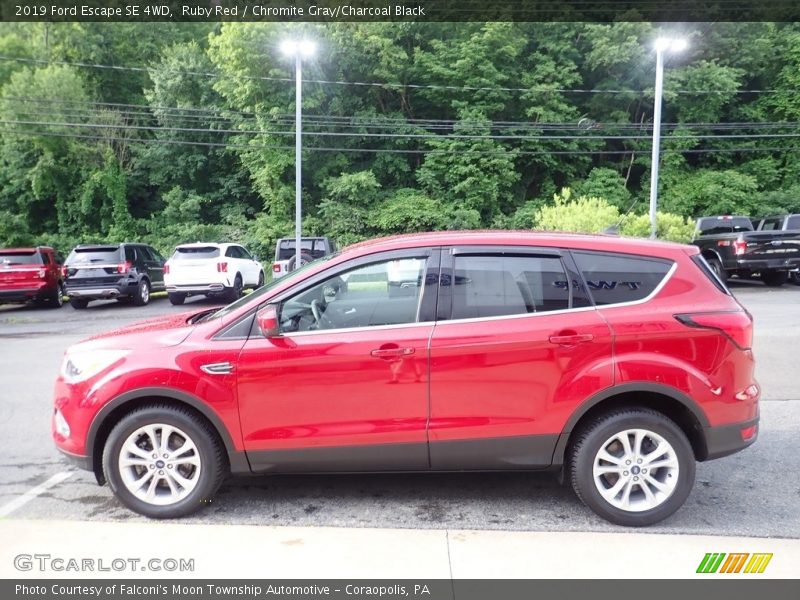 Ruby Red / Chromite Gray/Charcoal Black 2019 Ford Escape SE 4WD