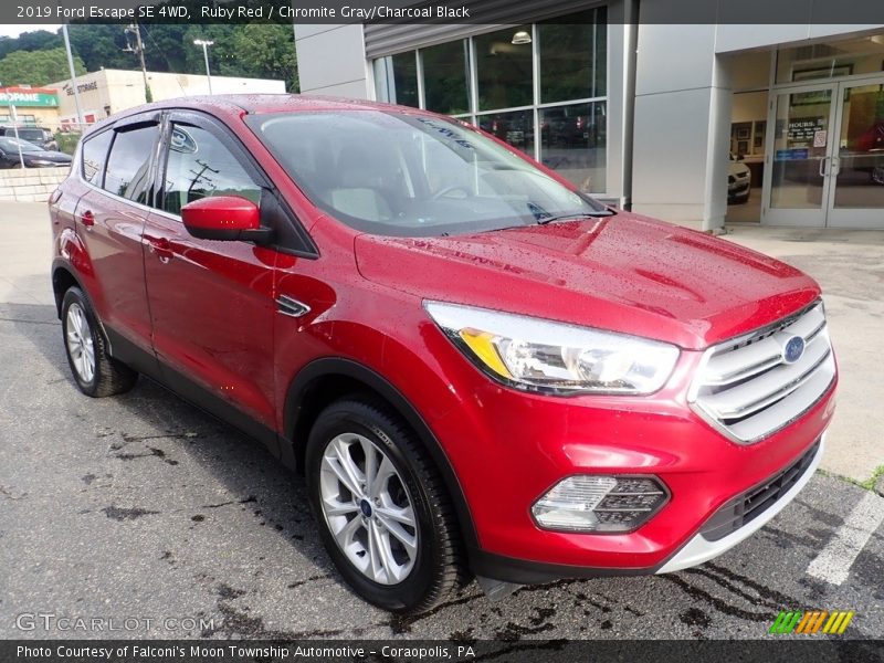 Ruby Red / Chromite Gray/Charcoal Black 2019 Ford Escape SE 4WD