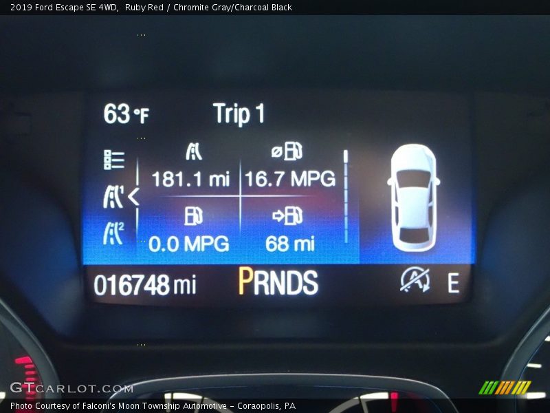 Ruby Red / Chromite Gray/Charcoal Black 2019 Ford Escape SE 4WD