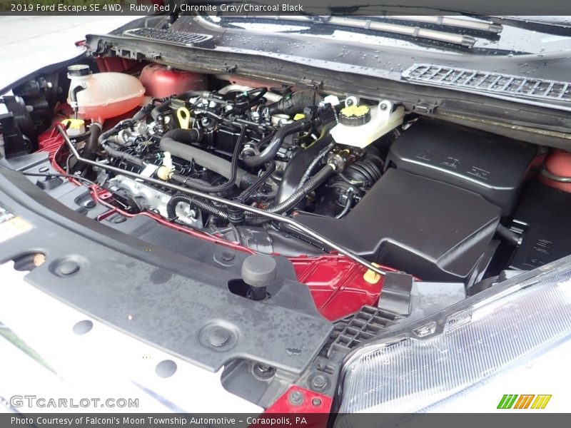 Ruby Red / Chromite Gray/Charcoal Black 2019 Ford Escape SE 4WD
