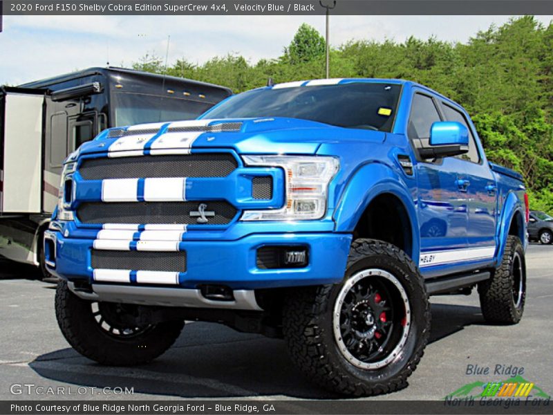 Front 3/4 View of 2020 F150 Shelby Cobra Edition SuperCrew 4x4
