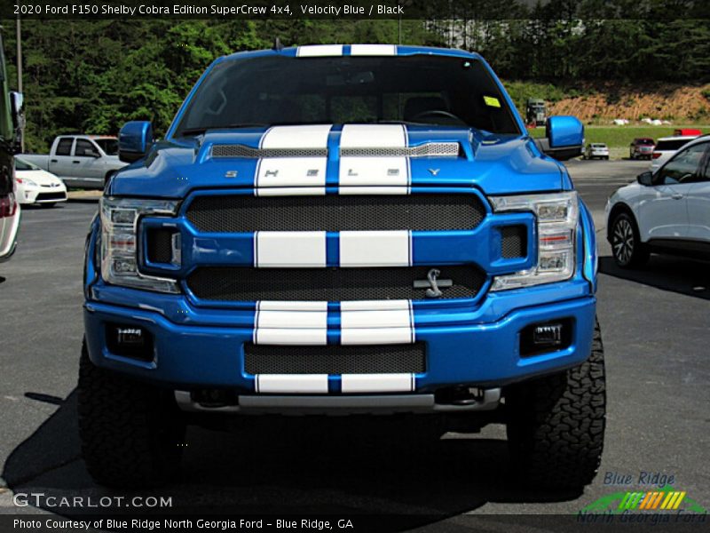 Velocity Blue / Black 2020 Ford F150 Shelby Cobra Edition SuperCrew 4x4