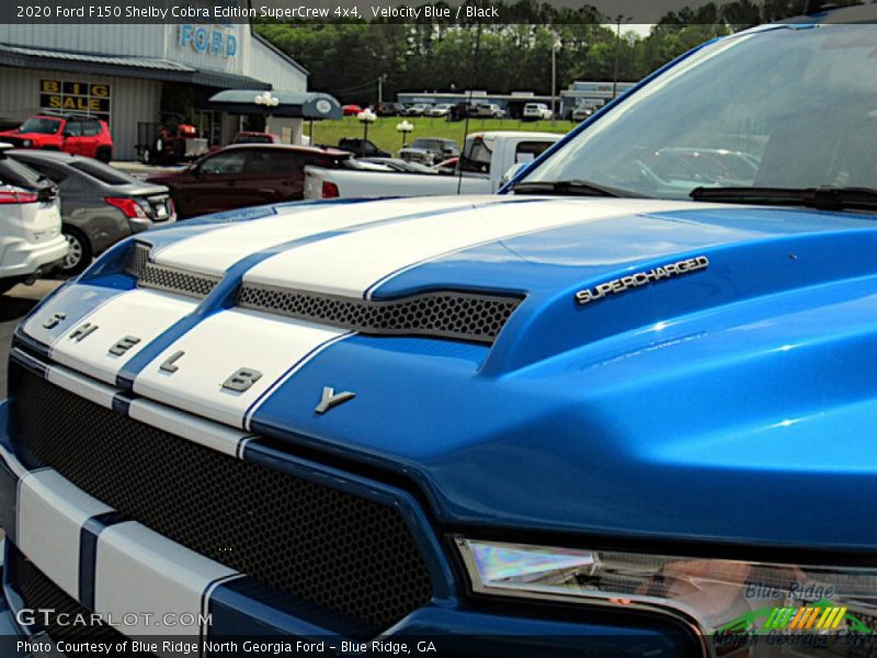  2020 F150 Shelby Cobra Edition SuperCrew 4x4 Logo
