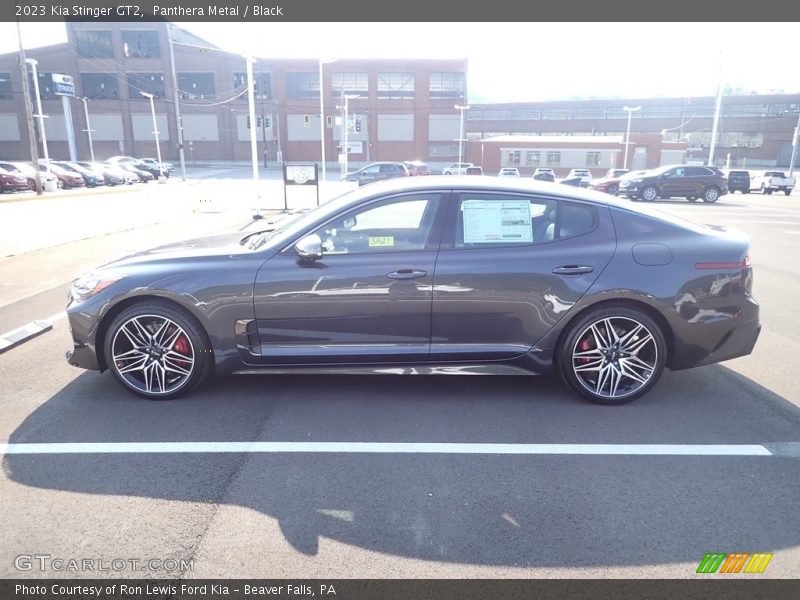  2023 Stinger GT2 Panthera Metal