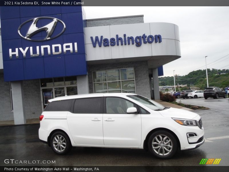 Snow White Pearl / Camel 2021 Kia Sedona EX