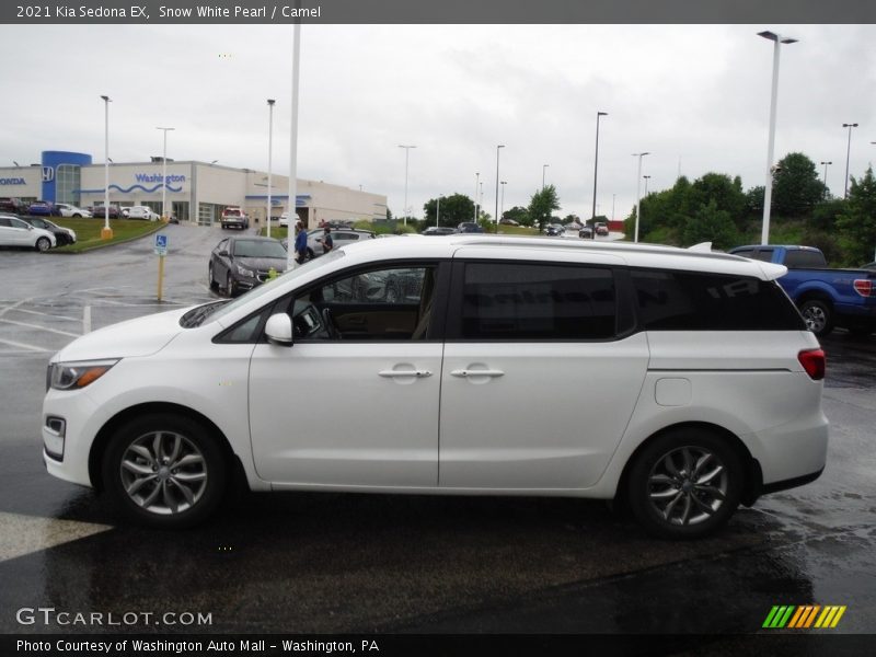 Snow White Pearl / Camel 2021 Kia Sedona EX