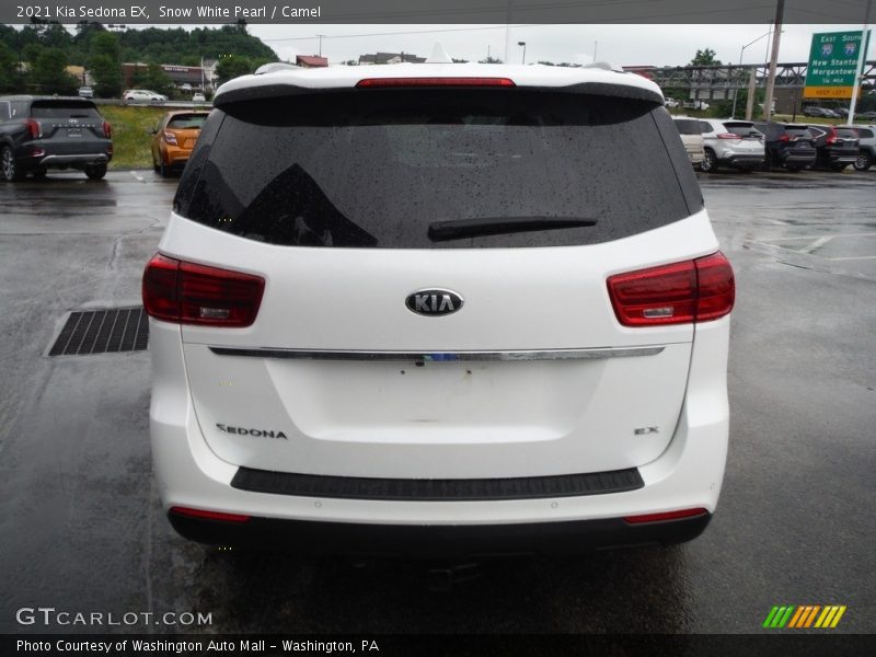 Snow White Pearl / Camel 2021 Kia Sedona EX