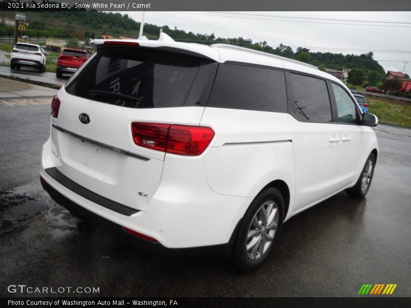 Snow White Pearl / Camel 2021 Kia Sedona EX