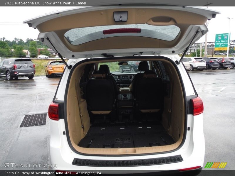 Snow White Pearl / Camel 2021 Kia Sedona EX
