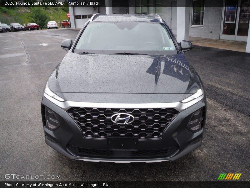 Rainforest / Black 2020 Hyundai Santa Fe SEL AWD