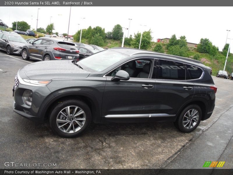 Rainforest / Black 2020 Hyundai Santa Fe SEL AWD