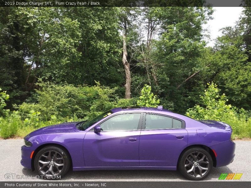  2019 Charger SXT Plum Crazy Pearl