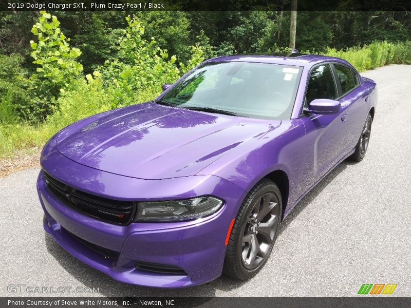 Plum Crazy Pearl / Black 2019 Dodge Charger SXT