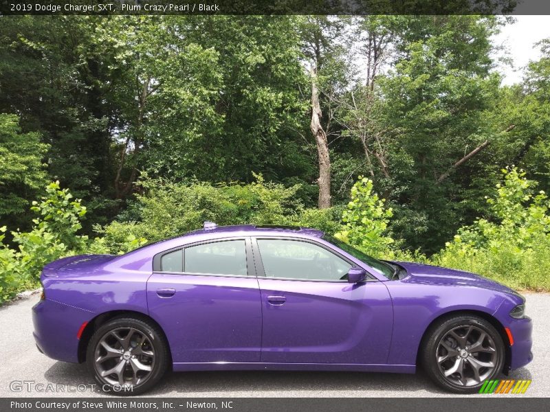  2019 Charger SXT Plum Crazy Pearl