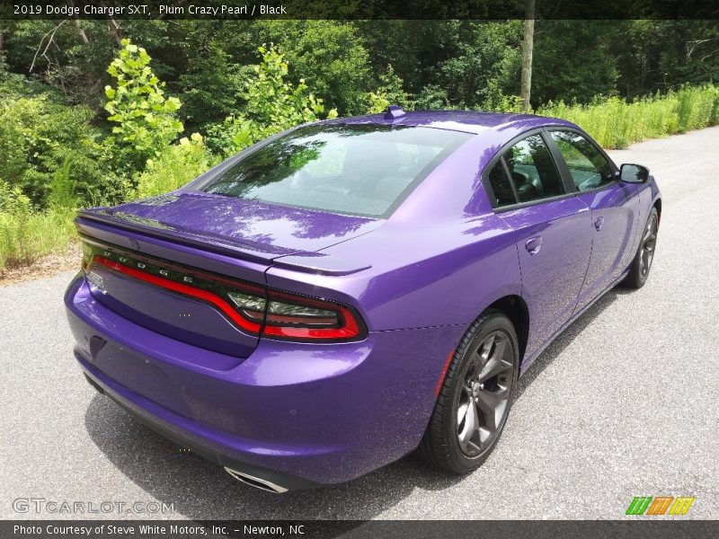 Plum Crazy Pearl / Black 2019 Dodge Charger SXT