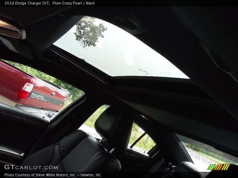Plum Crazy Pearl / Black 2019 Dodge Charger SXT