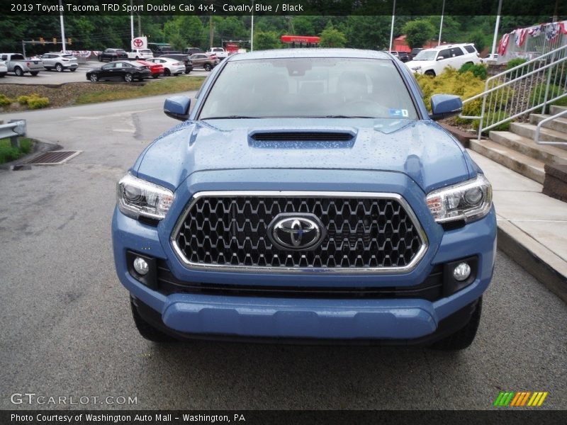 Cavalry Blue / Black 2019 Toyota Tacoma TRD Sport Double Cab 4x4