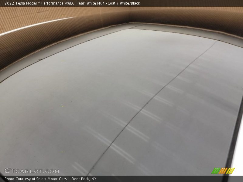 Sunroof of 2022 Model Y Performance AWD
