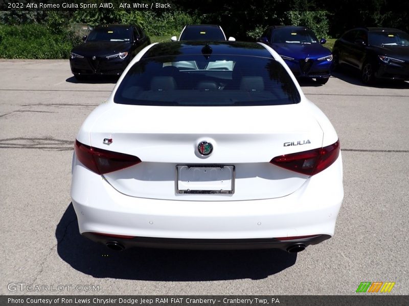 Alfa White / Black 2022 Alfa Romeo Giulia Sprint AWD