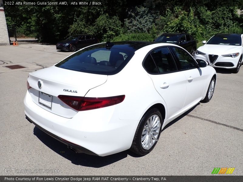 Alfa White / Black 2022 Alfa Romeo Giulia Sprint AWD