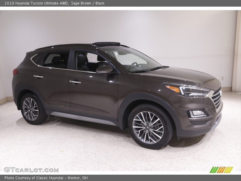 Sage Brown / Black 2019 Hyundai Tucson Ultimate AWD
