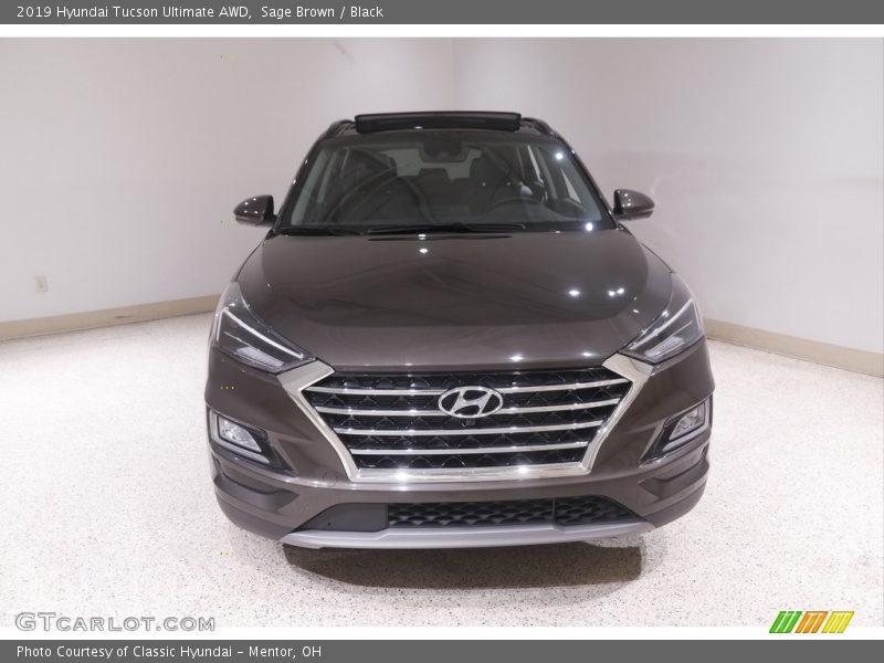 Sage Brown / Black 2019 Hyundai Tucson Ultimate AWD