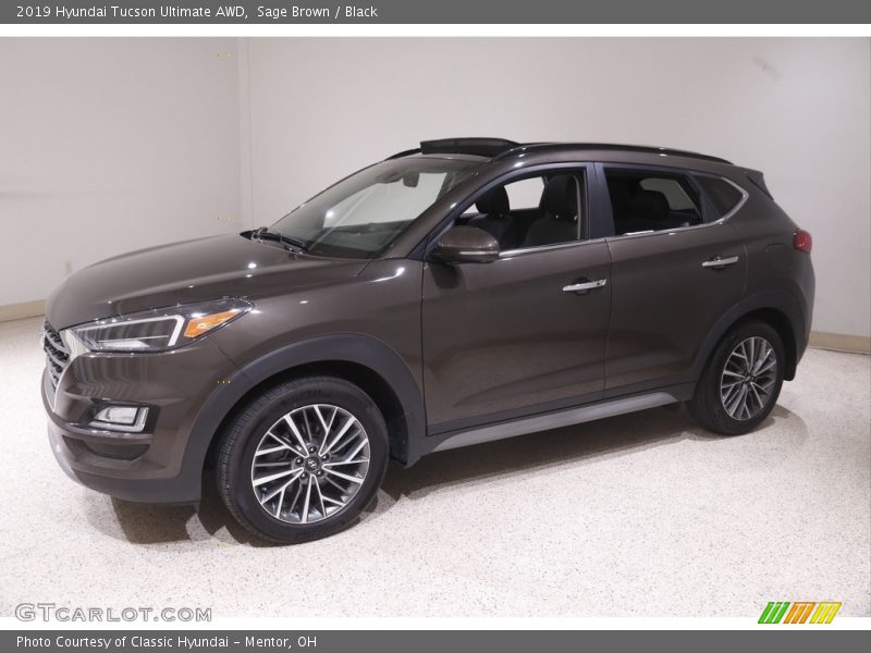 Sage Brown / Black 2019 Hyundai Tucson Ultimate AWD