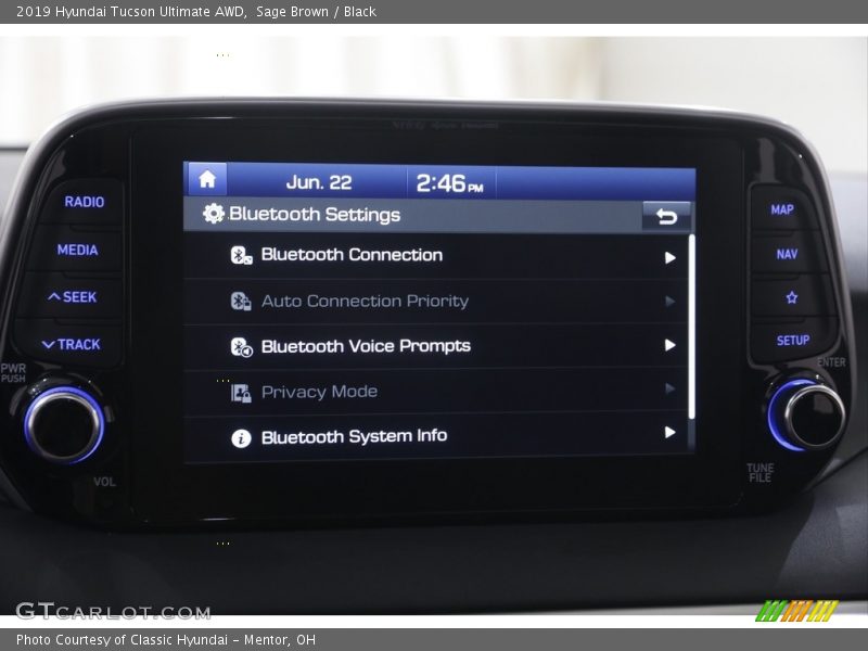 Sage Brown / Black 2019 Hyundai Tucson Ultimate AWD