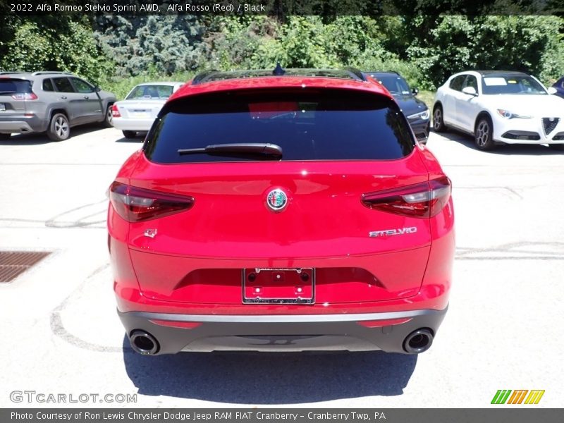 Alfa Rosso (Red) / Black 2022 Alfa Romeo Stelvio Sprint AWD