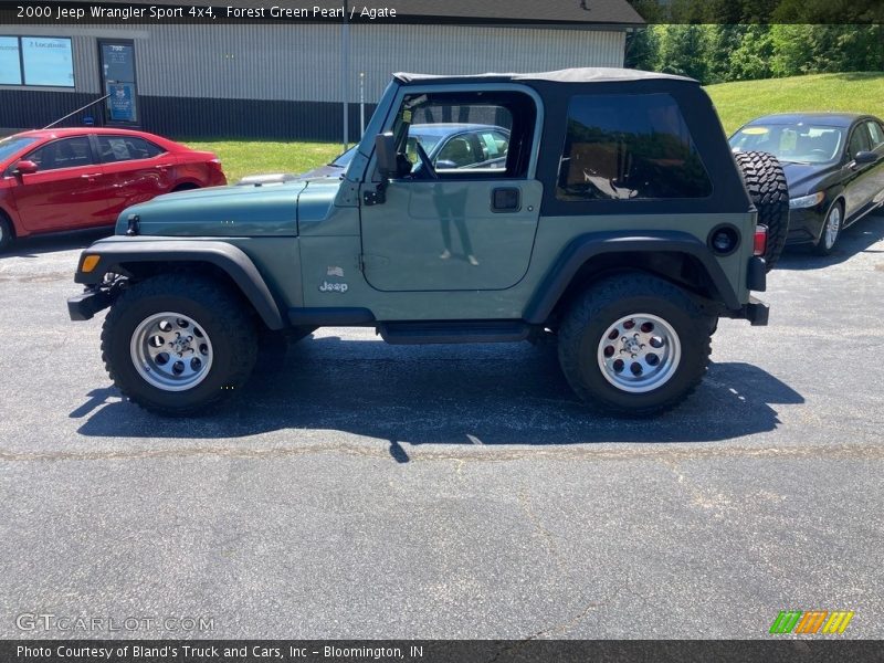 Forest Green Pearl / Agate 2000 Jeep Wrangler Sport 4x4
