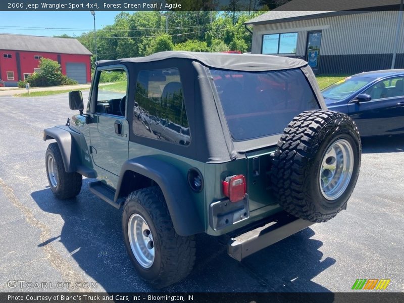 Forest Green Pearl / Agate 2000 Jeep Wrangler Sport 4x4