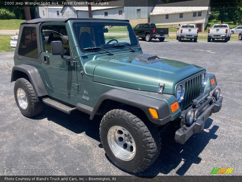 Forest Green Pearl / Agate 2000 Jeep Wrangler Sport 4x4