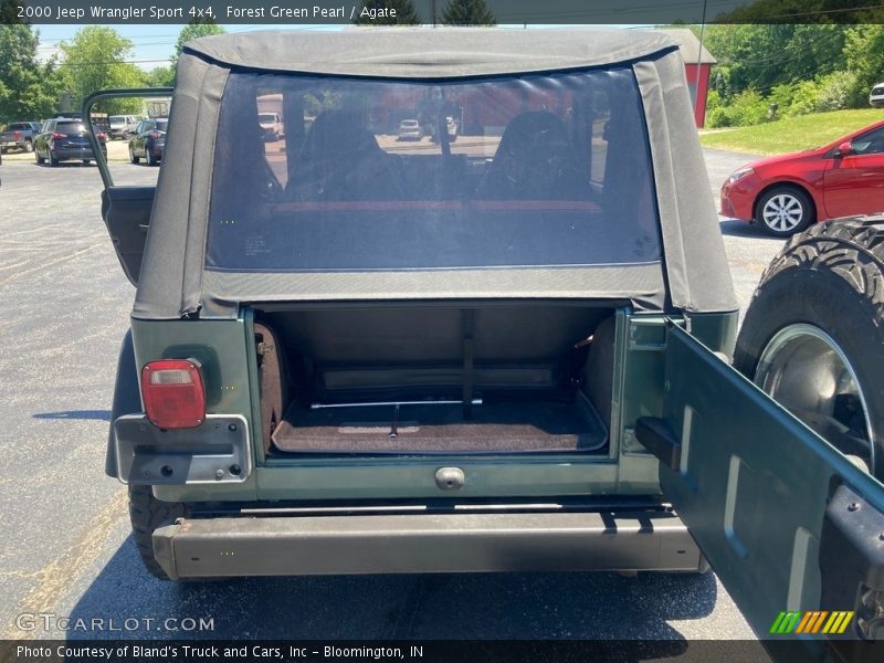 Forest Green Pearl / Agate 2000 Jeep Wrangler Sport 4x4