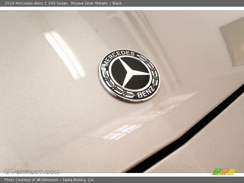 Mojave Silver Metallic / Black 2019 Mercedes-Benz C 300 Sedan