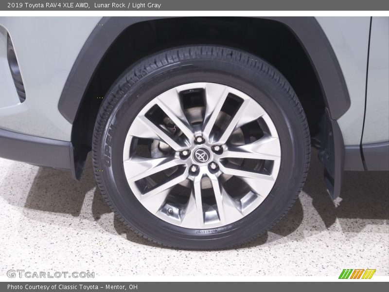 Lunar Rock / Light Gray 2019 Toyota RAV4 XLE AWD